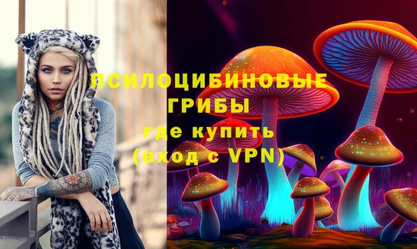 индика Володарск