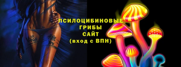 стаф Волосово