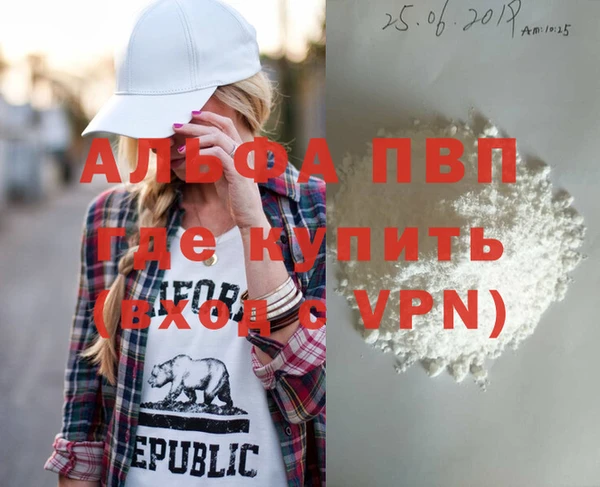 индика Володарск