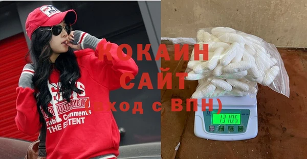 индика Володарск