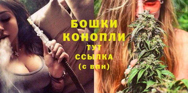 стаф Волосово