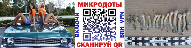 Псилоцибиновые грибы Psilocybe  KRAKEN   Поронайск 